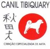 Canil Tibiquary - Akita Inu